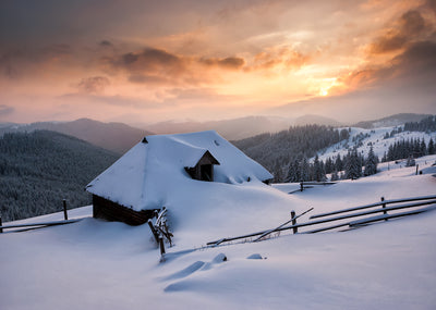 Wiki Commons Jigsaw Puzzle Of The Day