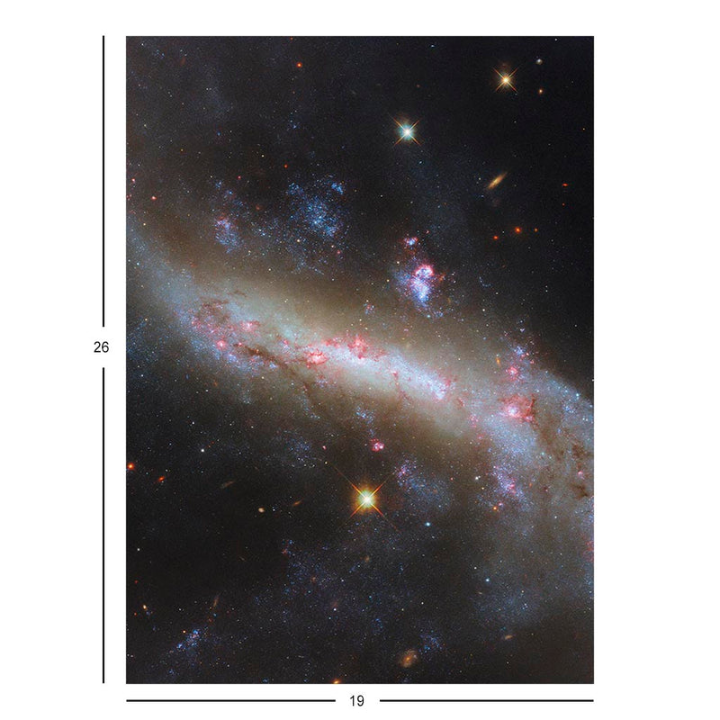 Hubble Telescope Image of Spiral Galaxy NGC 4731 Jigsaw Puzzle