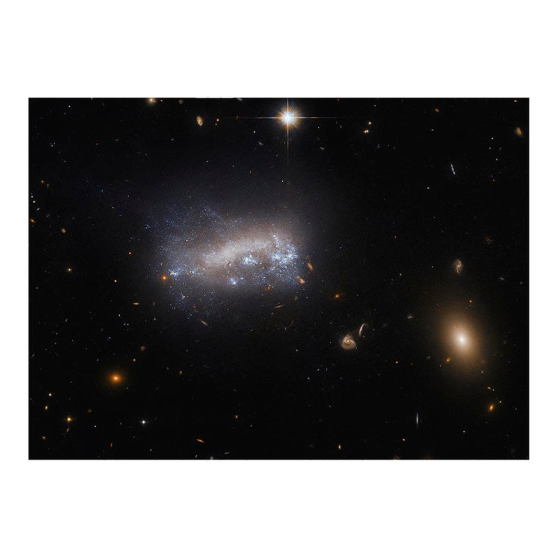 Hubble Views A Galaxy (LEDA 42160) Under Pressure Jigsaw Puzzle