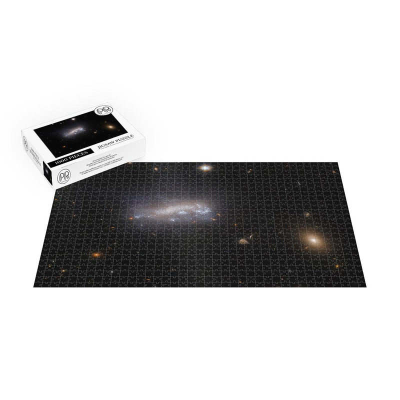 Hubble Views A Galaxy (LEDA 42160) Under Pressure Jigsaw Puzzle