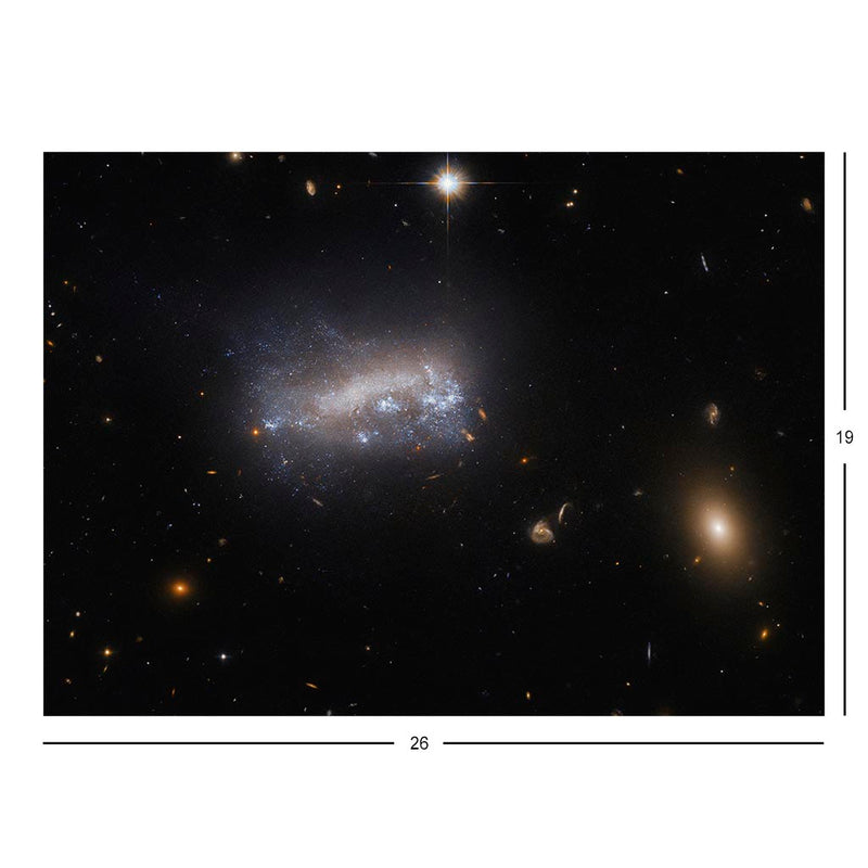 Hubble Views A Galaxy (LEDA 42160) Under Pressure Jigsaw Puzzle