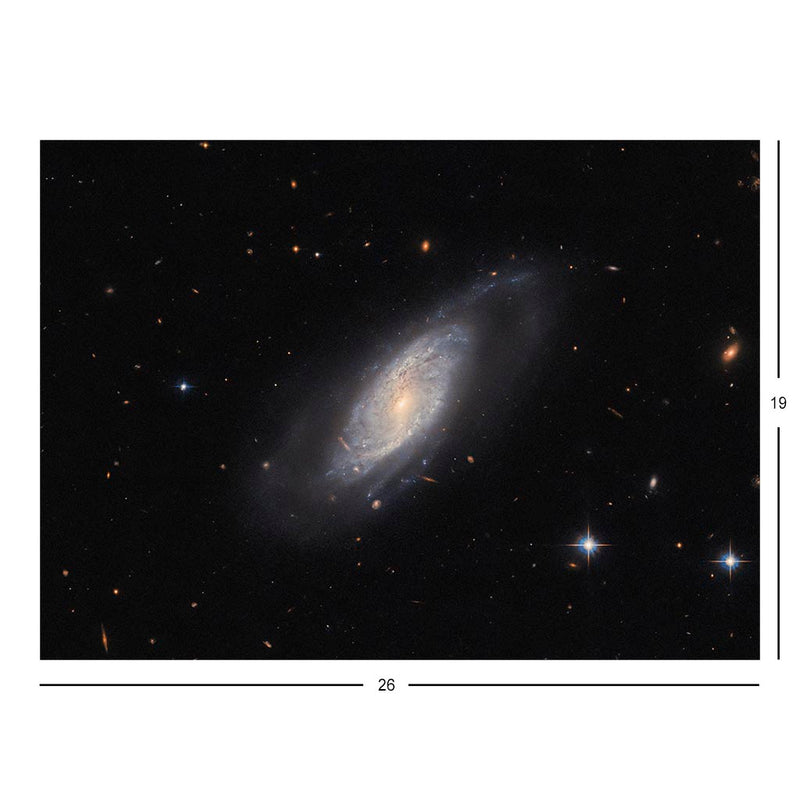 Hubble Telescope Image of Spiral Galaxy UGC 9684 Jigsaw Puzzle