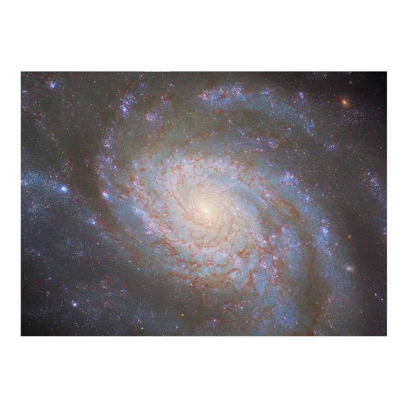 Hubble Telescope Image of Spiral Galaxy NGC3810 Jigsaw Puzzle