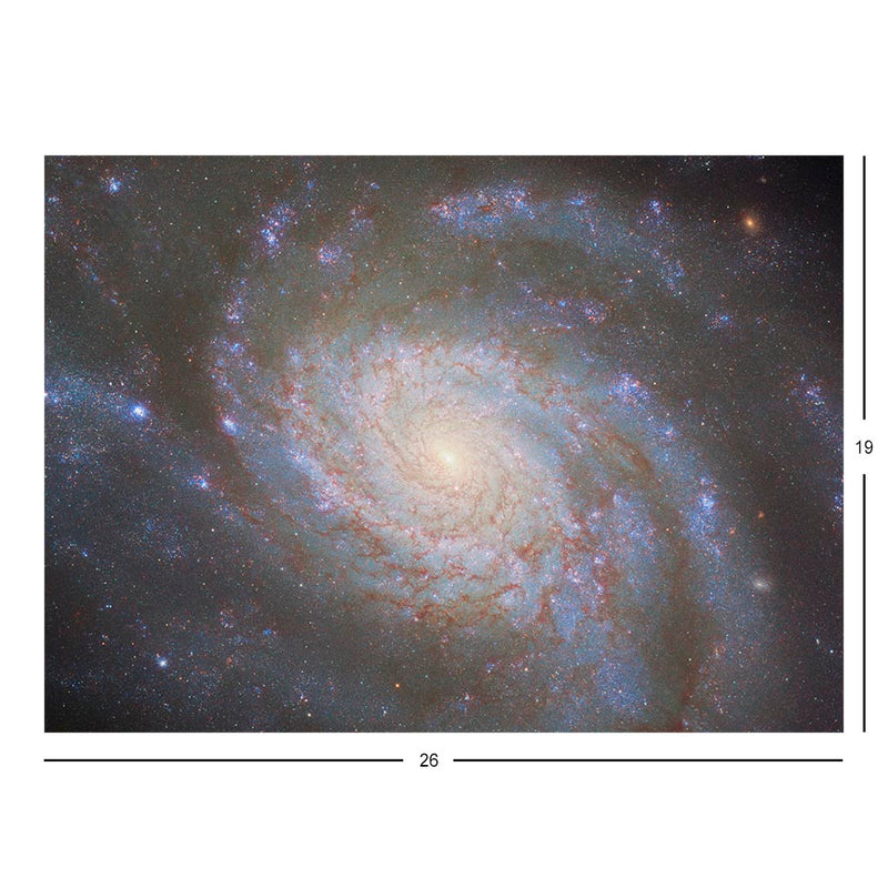 Hubble Telescope Image of Spiral Galaxy NGC3810 Jigsaw Puzzle