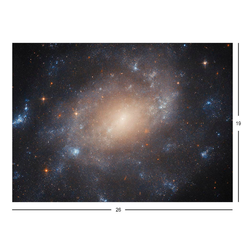 Hubble Telescope Image of Spiral Galaxy ESO 422-41 Jigsaw Puzzle
