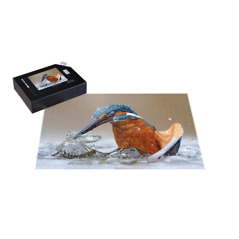 Wikimedia Commons Jigsaw Puzzle of the Day Common Kingfisher