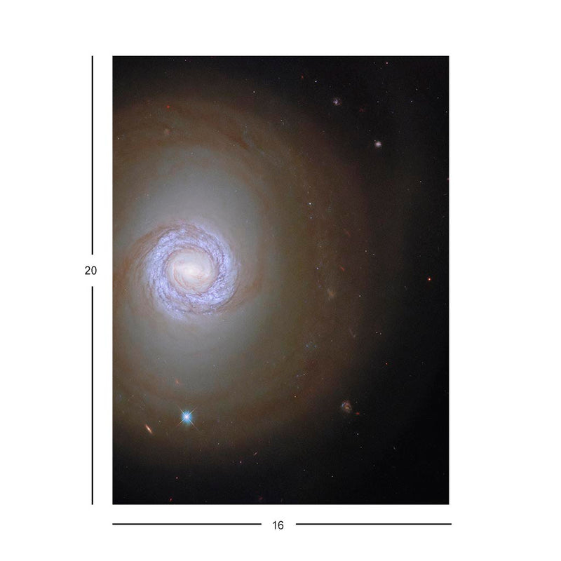 The Constellation Fornax (NGC 1317) Jigsaw Puzzle
