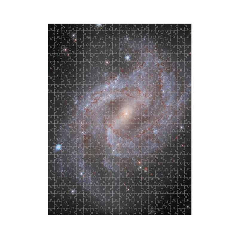 Supernova in Galaxy NGC 2525 Jigsaw Puzzle