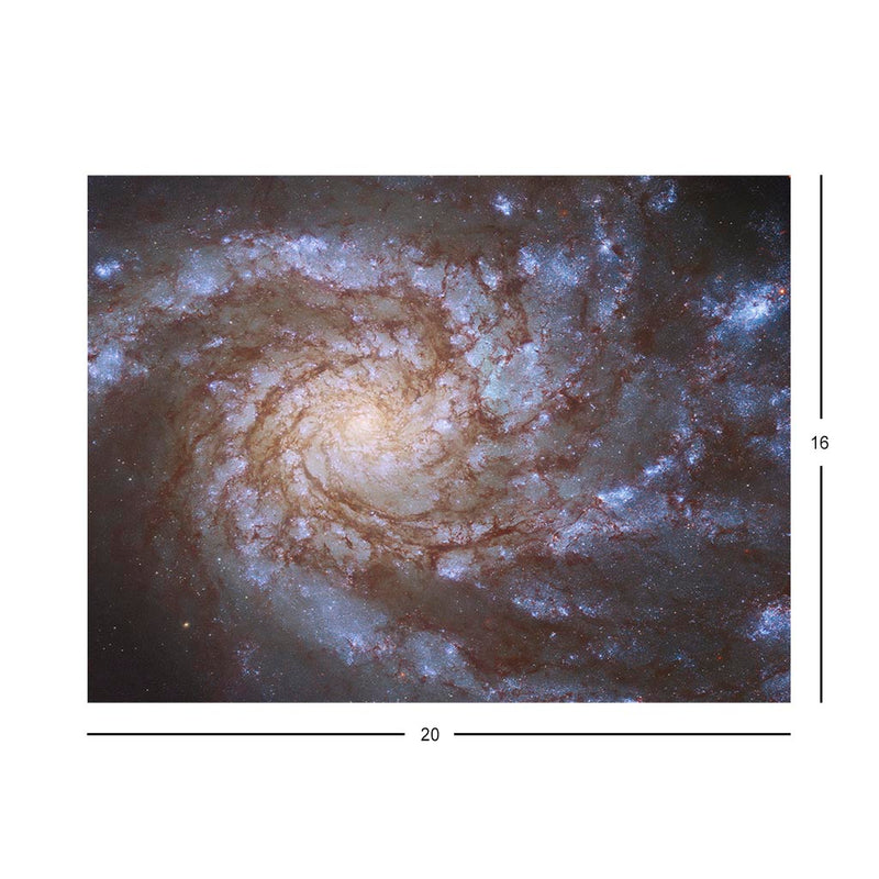 Hubble Sees Double in M99 Jigsaw Puzzle