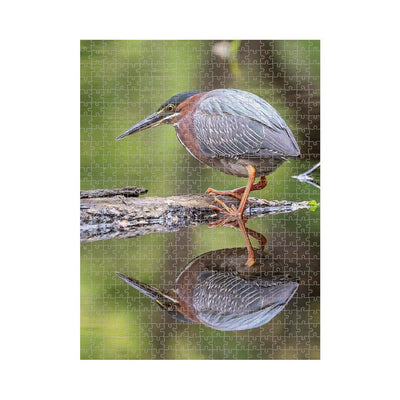 Wikimedia Jigsaw Puzzle of the Day A Green Heron