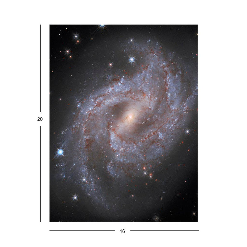 Supernova in Galaxy NGC 2525 Jigsaw Puzzle