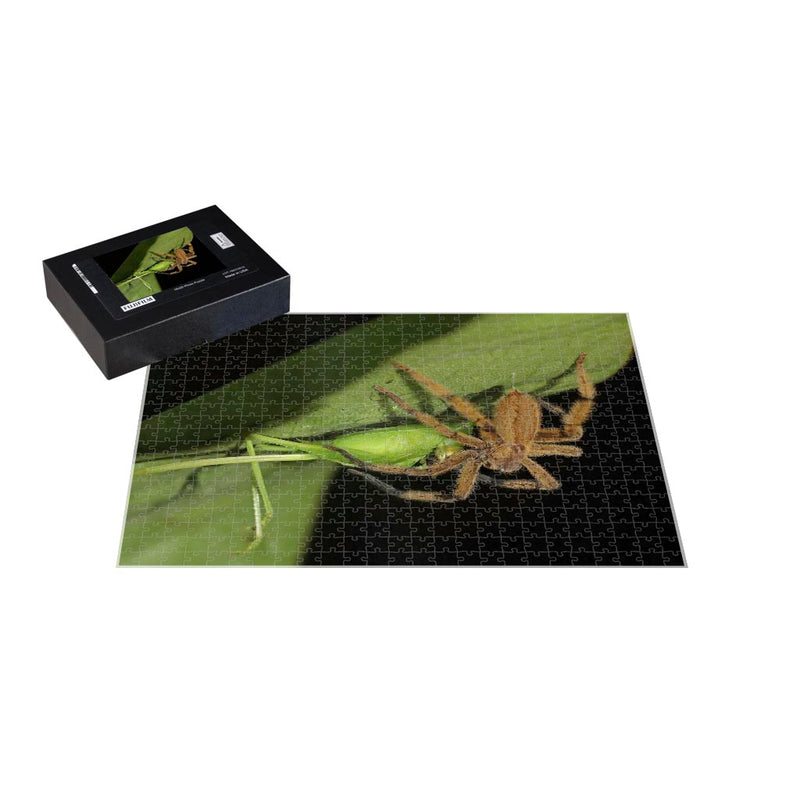 Wikimedia Commons Jigsaw Puzzle Of The Day Wandering Spider