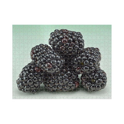 Wikimedia Commons Jigsaw Puzzle of the Day Blackberries