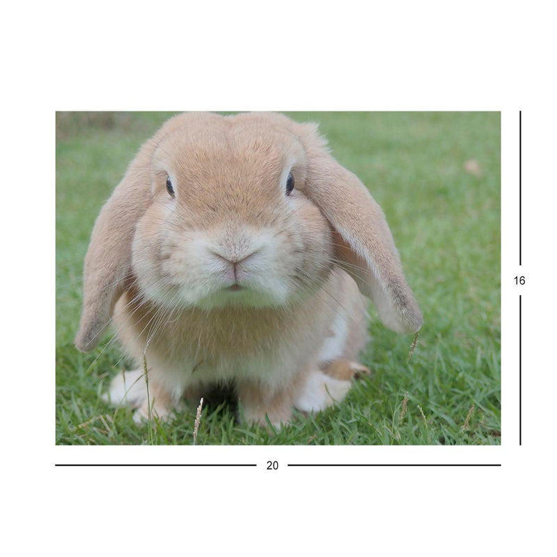 Cute Rabbit Jigsaw Puzzle