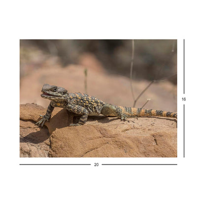 Wikimedia Commons Picture of the Day for May 25, 2022 Jigsaw Puzzle