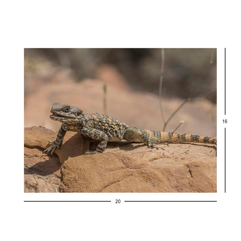 Wikimedia Commons Picture of the Day for May 25, 2022 Jigsaw Puzzle