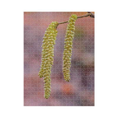 Wikimedia Commons Jigsaw Puzzle Of The Day Common Hazel