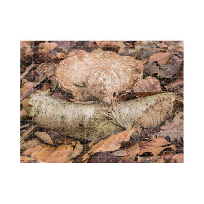 Wikimedia Commons Jigsaw Puzzle Of The Day Birch Mushroom