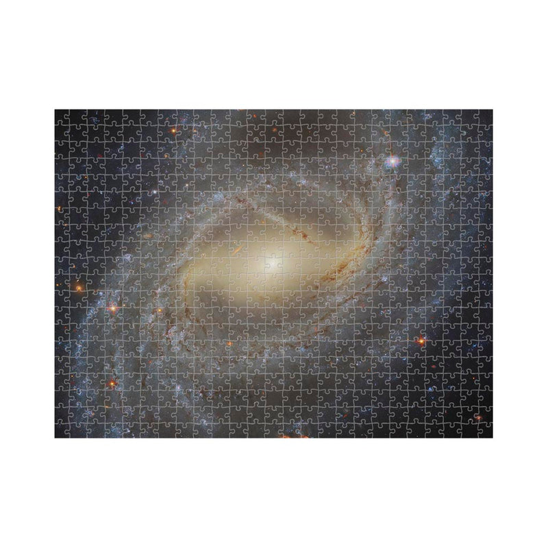 Four Filter Fusion Jigsaw Puzzle