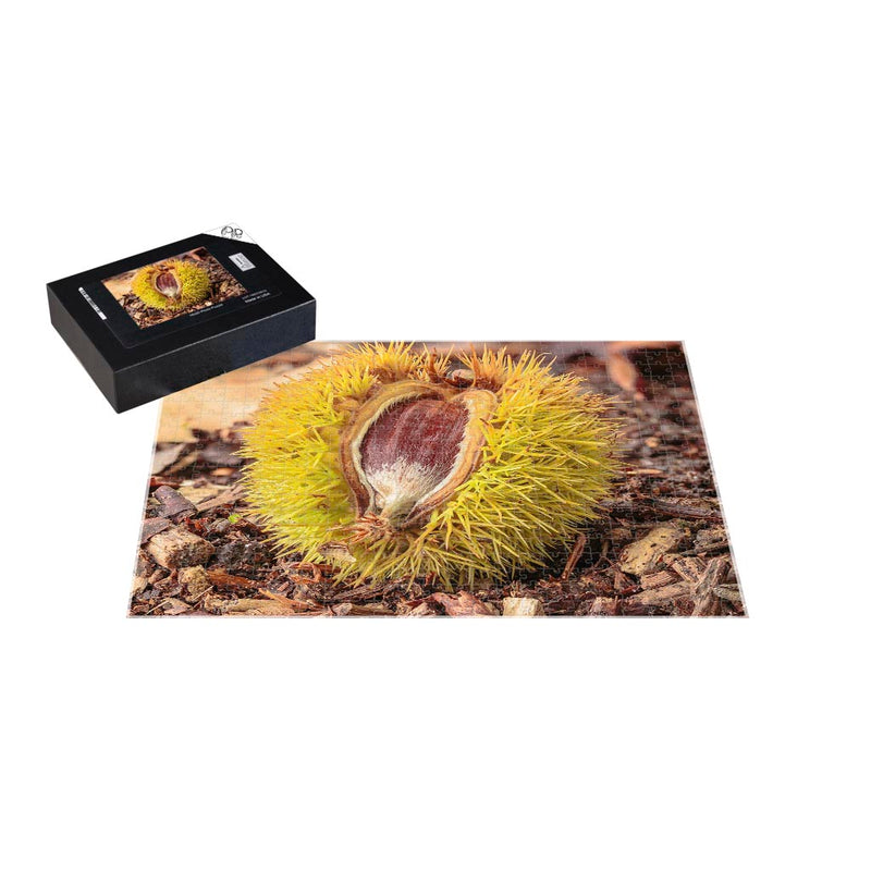 Wikimedia Commons Jigsaw Puzzle of the Day Fallen Chestnuts