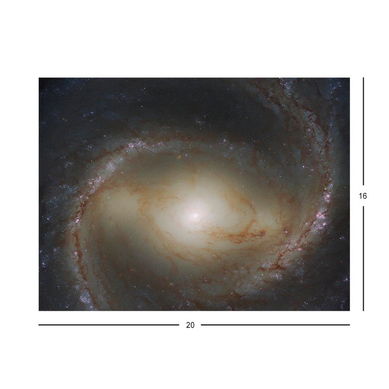 A Spiral Snapshot Jigsaw Puzzle