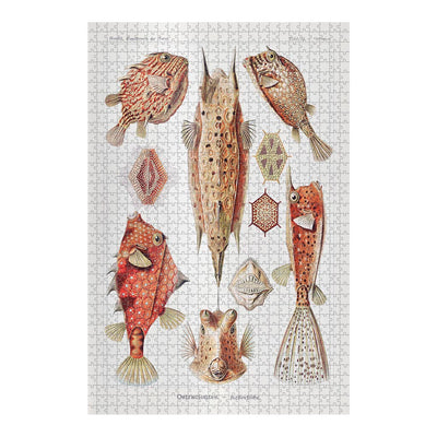 Boxfish, Art Forms in Nature Jigsaw Puzzle