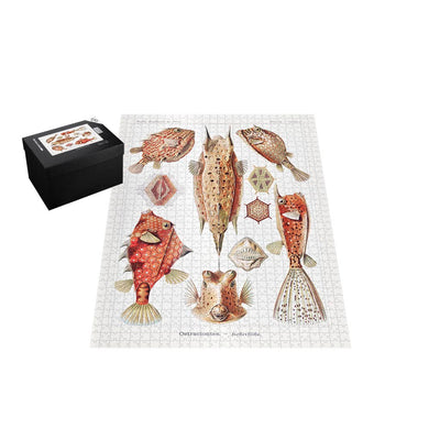 Boxfish, Art Forms in Nature Jigsaw Puzzle