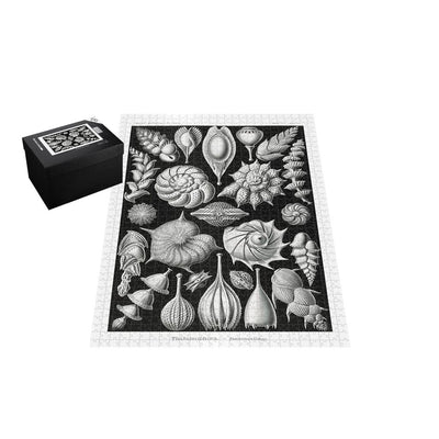 Thalamophora, Art Forms in Nature Jigsaw Puzzle