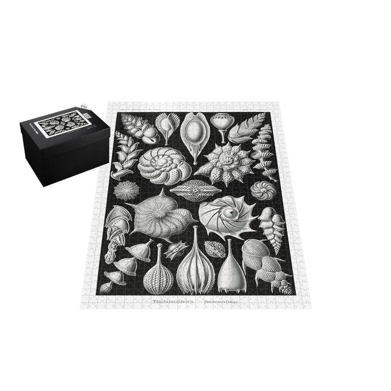 Thalamophora, Art Forms in Nature Jigsaw Puzzle