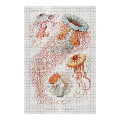 Jellyfish, Art Forms in Nature Jigsaw Puzzle