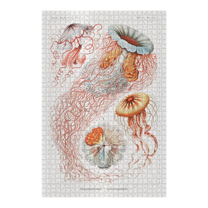 Jellyfish, Art Forms in Nature Jigsaw Puzzle
