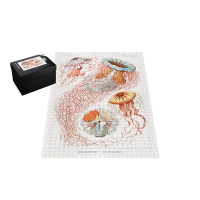 Jellyfish, Art Forms in Nature Jigsaw Puzzle