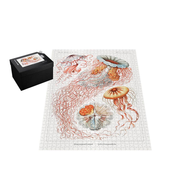 Jellyfish, Art Forms in Nature Jigsaw Puzzle