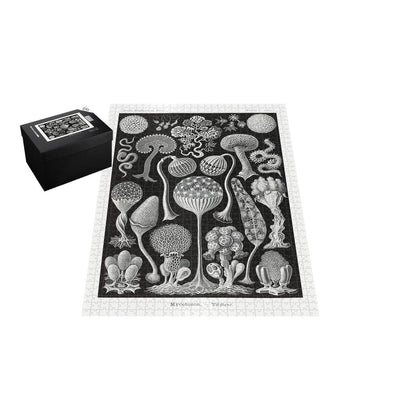 Slime Molds, Art Forms in Nature Jigsaw Puzzle