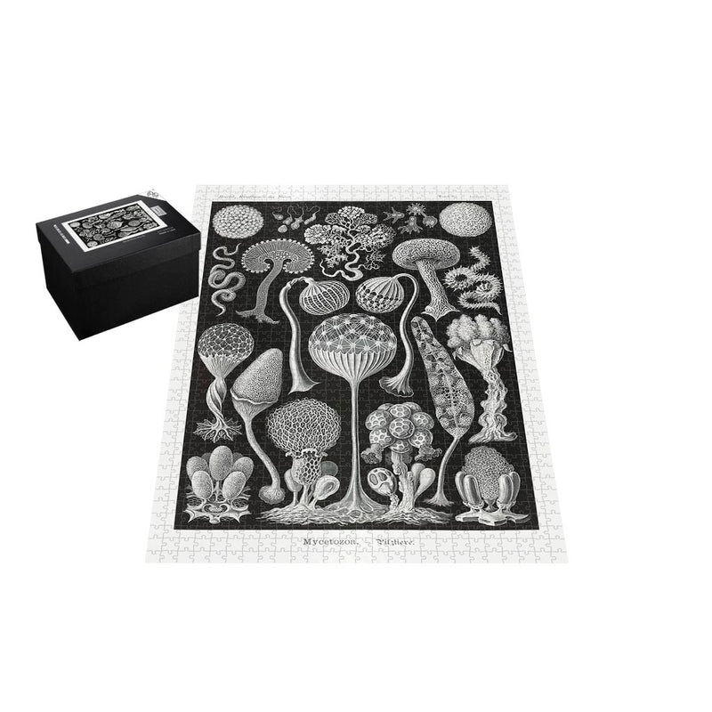 Slime Molds, Art Forms in Nature Jigsaw Puzzle