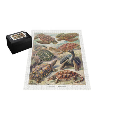 Turtles, Art Forms in Nature Jigsaw Puzzle