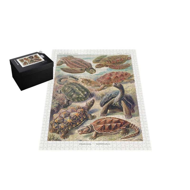 Turtles, Art Forms in Nature Jigsaw Puzzle