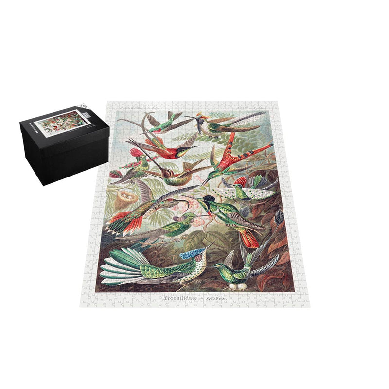 Hummingbirds, Art Forms in Nature Jigsaw Puzzle