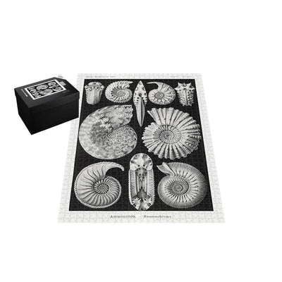 Ammonitida, Art Forms in Nature Jigsaw Puzzle
