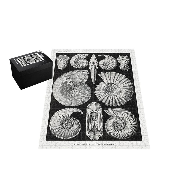 Ammonitida, Art Forms in Nature Jigsaw Puzzle