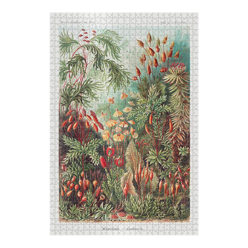 Moss, Art Forms in Nature Jigsaw Puzzle