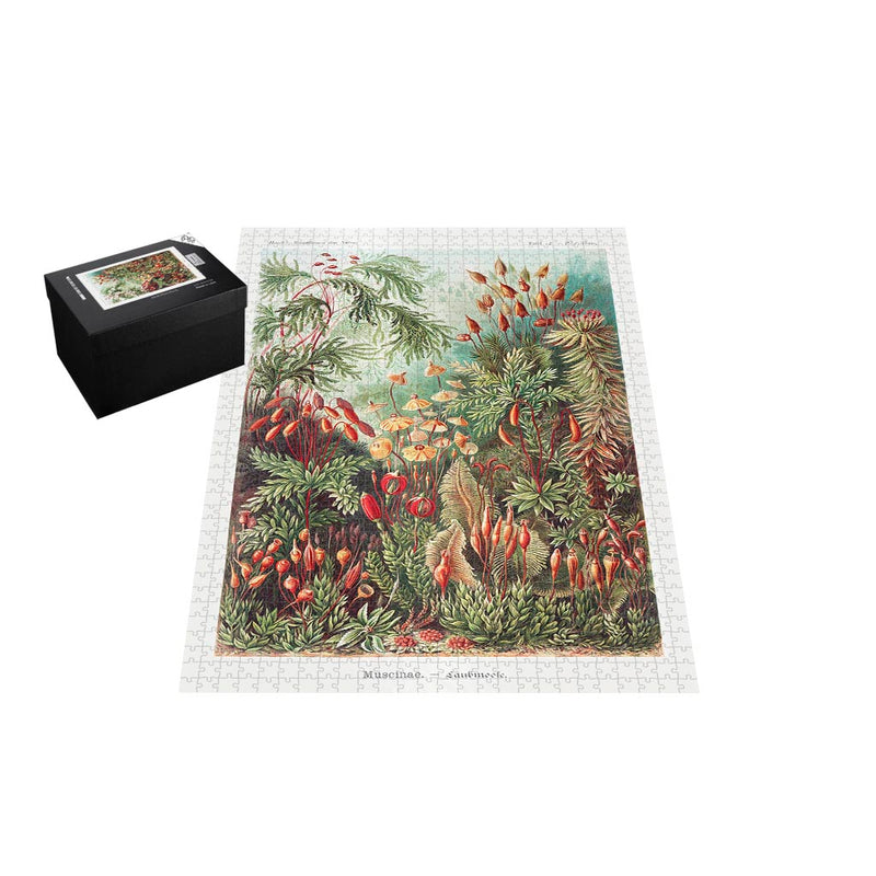 Moss, Art Forms in Nature Jigsaw Puzzle