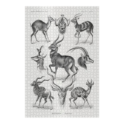 Antelopes, Art Forms in Nature Jigsaw Puzzle