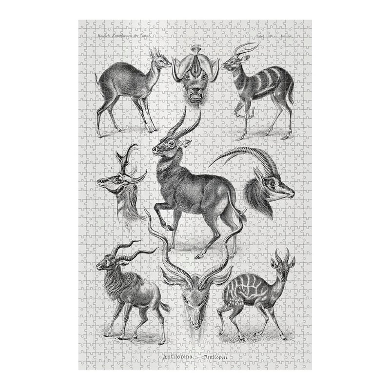 Antelopes, Art Forms in Nature Jigsaw Puzzle