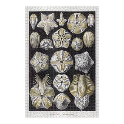 Blastoids, Art Forms in Nature Jigsaw Puzzle