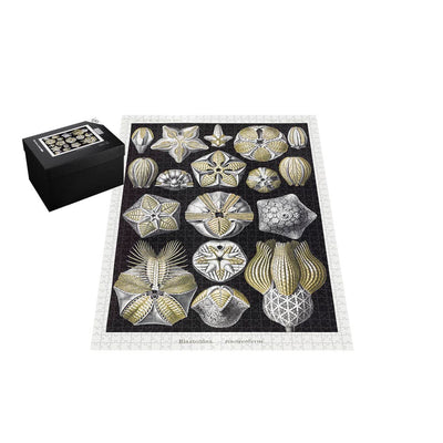 Blastoids, Art Forms in Nature Jigsaw Puzzle