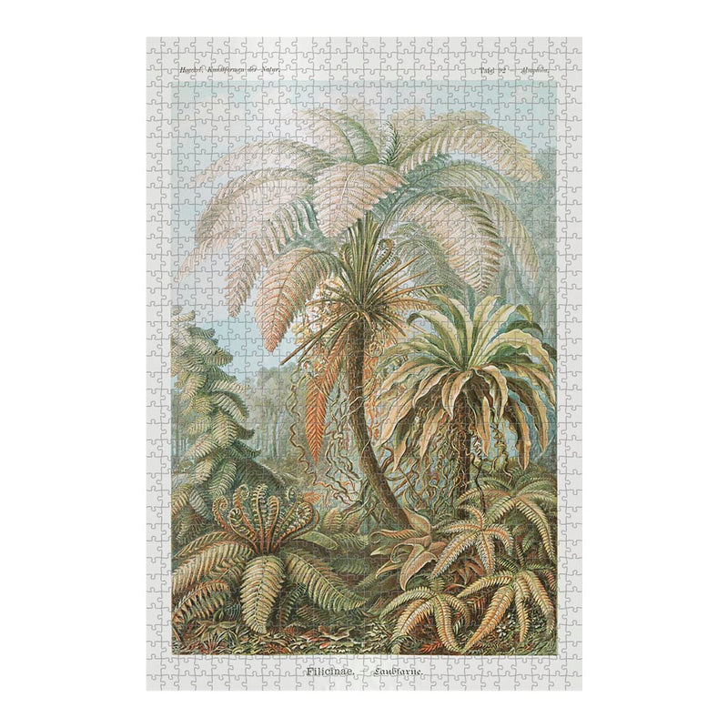 Ferns, Art Forms in Nature Jigsaw Puzzle