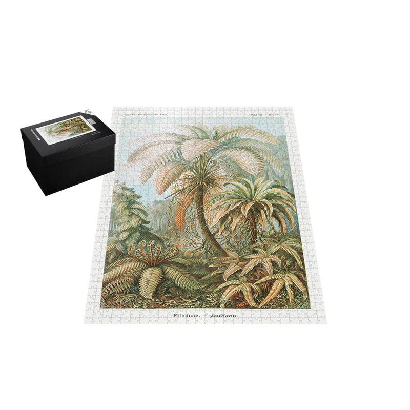 Ferns, Art Forms in Nature Jigsaw Puzzle