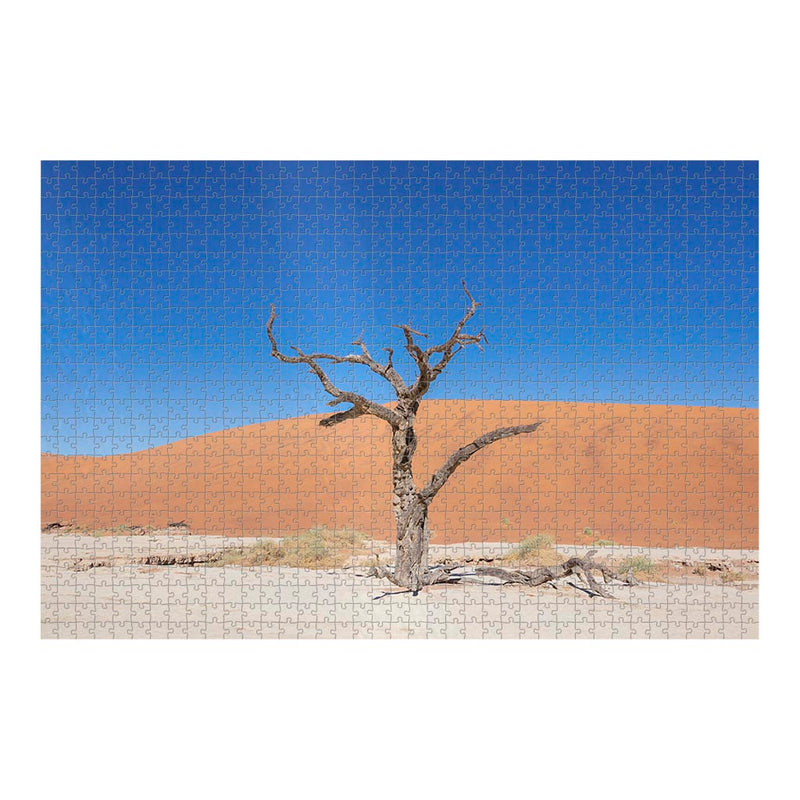Wikimedia Commons Jigsaw Puzzle Of The Day Dead Camel Thorn