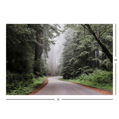 Redwood National Forest Jigsaw Puzzle